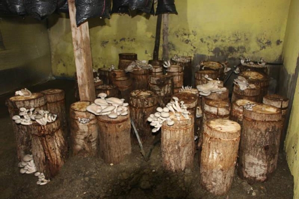 Foto - Bir torba ve bir kütükle başladı... Şimdi siparişlere yetişemiyor