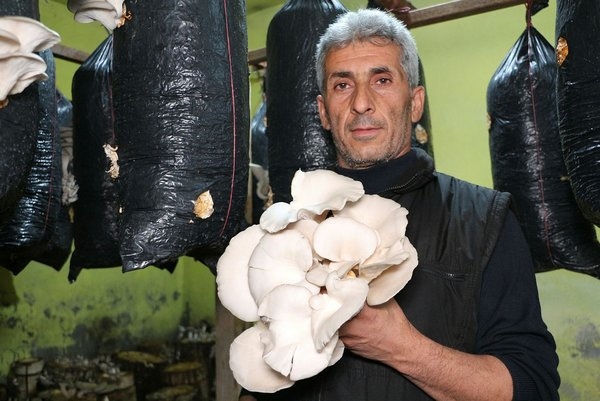 Foto - Bir torba ve bir kütükle başladı... Şimdi siparişlere yetişemiyor