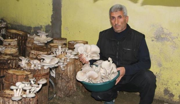 Foto - Bir torba ve bir kütükle başladı... Şimdi siparişlere yetişemiyor