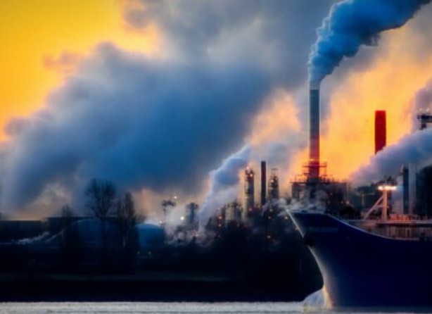 Foto - Bir trilyon ağaç için harekete geçiren ekolojist şaşırttı: Ağaç dikmeyi bırakın