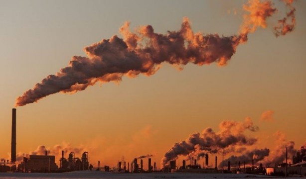 Foto - Bir trilyon ağaç için harekete geçiren ekolojist şaşırttı: Ağaç dikmeyi bırakın