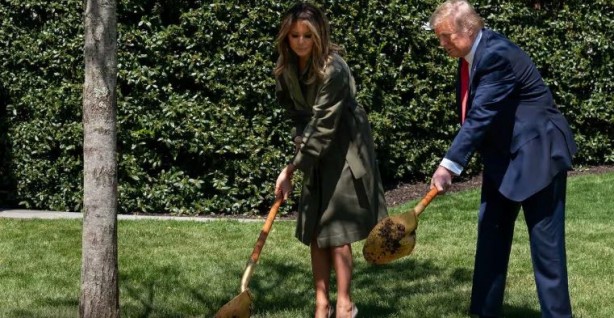 Bir trilyon ağaç için harekete geçiren ekolojist şaşırttı: Ağaç dikmeyi bırakın