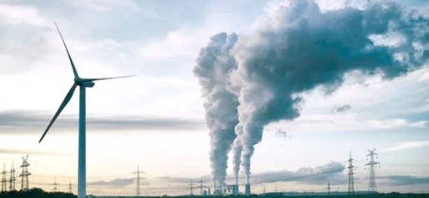 Foto - Bir trilyon ağaç için harekete geçiren ekolojist şaşırttı: Ağaç dikmeyi bırakın