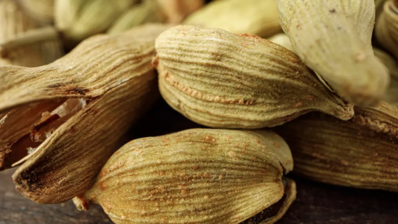 Foto - Bir tutamı, 10 portakal kadar C vitamini değerinde... Müthiş şifa deposu! Mutlaka denenmeli