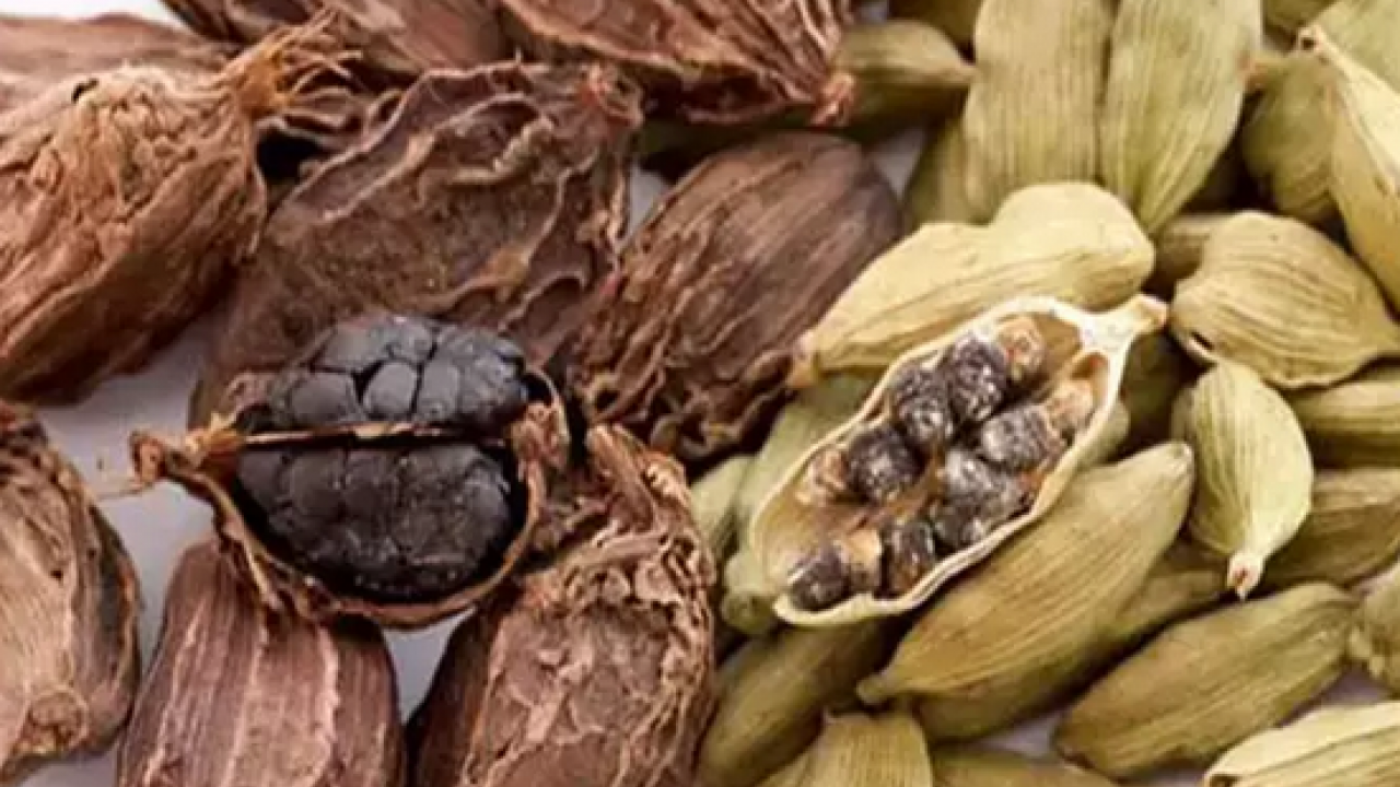 Bir tutamı, 10 portakal kadar C vitamini değerinde... Müthiş şifa deposu! Mutlaka denenmeli