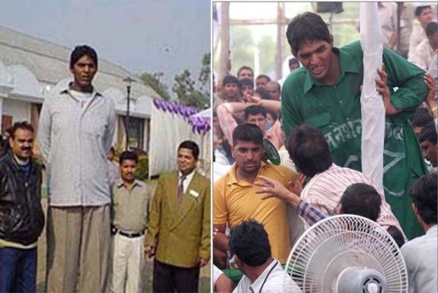 Foto - Bir yanda deve bir yanda cüce! İşte dünyanın en uzun insanları