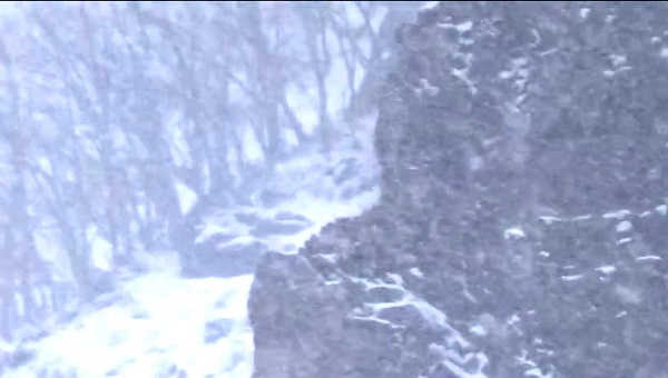 Foto - Bir yanda kara kış bir yanda bahar