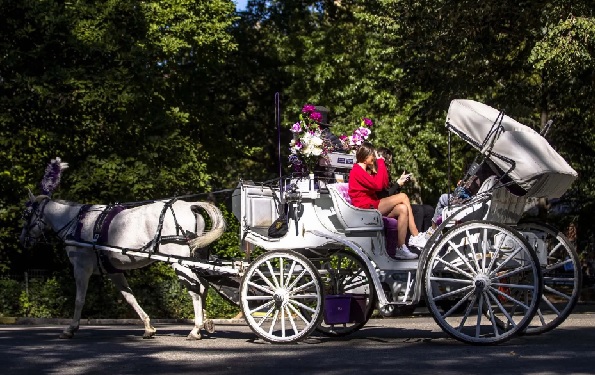 Foto - Bir yanda katliam bir yanda coştu! Dünyanın iki yüzü böyle görüntülendi