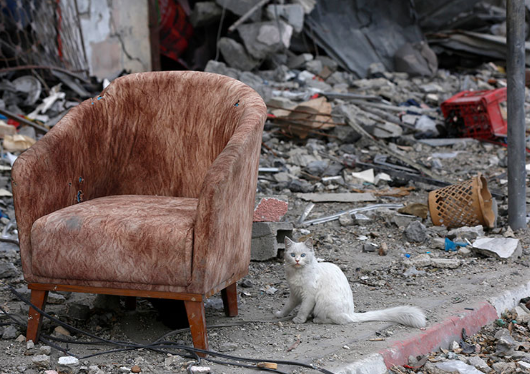 Foto - Bir yandan İsrail bir yandan soğuk vuruyor! Filistinlilerin kış ile imtihanı