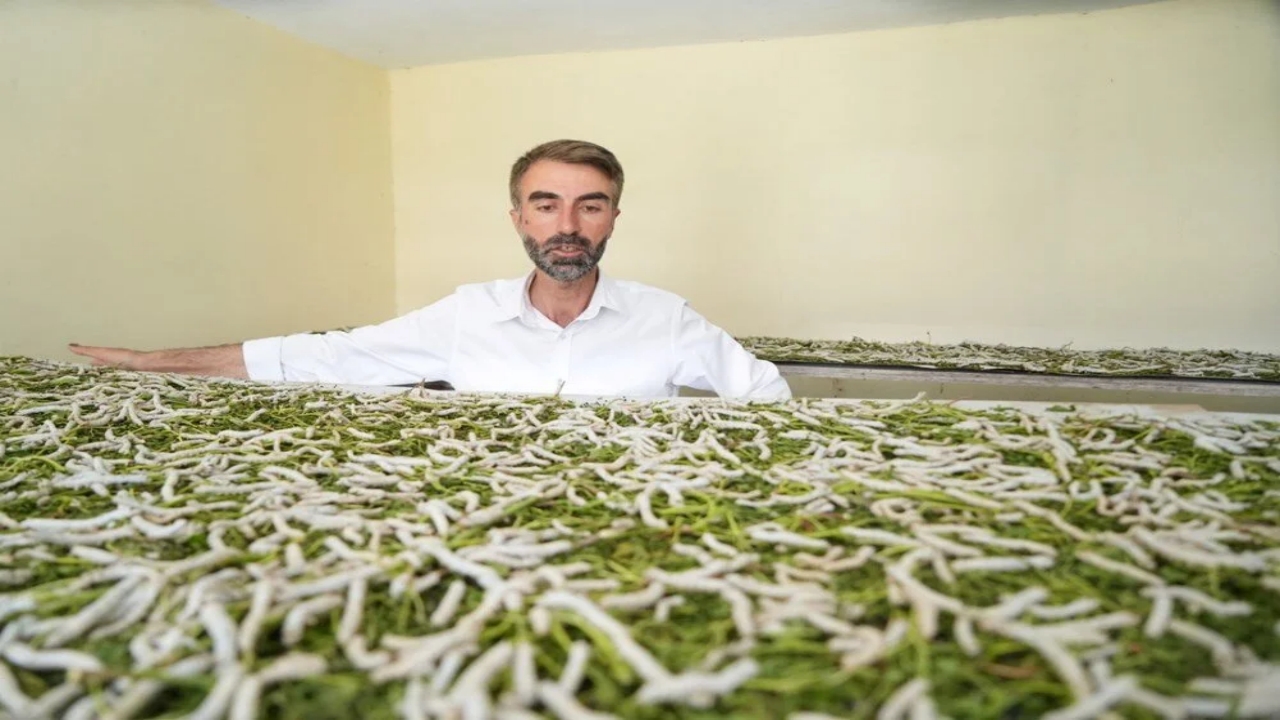 Foto - Bir yaprak, bir böcek Koç’a servet kazandırdı: Dalga geçenler, o kazanca inanamadı