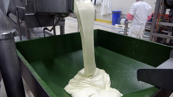 Foto - Bir yılda 770 ton süt ürünü elde edildi