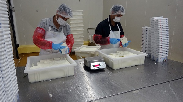 Foto - Bir yılda 770 ton süt ürünü elde edildi