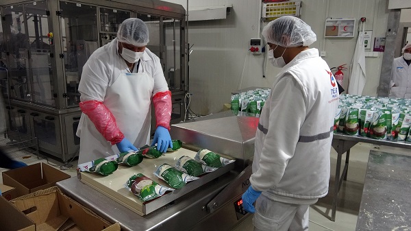 Foto - Bir yılda 770 ton süt ürünü elde edildi