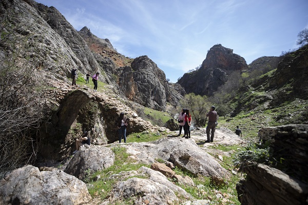 Bir zamandan sessizlik hakimdi! Şimdi herkes oraya gitmek istiyor