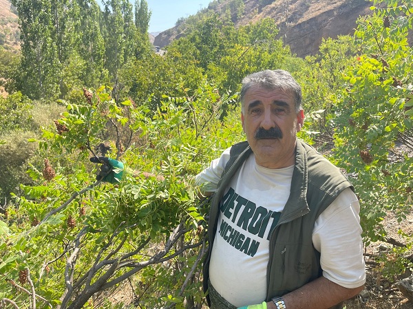 Foto - Bir zamanlar buralara yaklaşmak imkansızdı! Terörden temizlenen köyde 29 yıl sonra bir ilk yaşandı