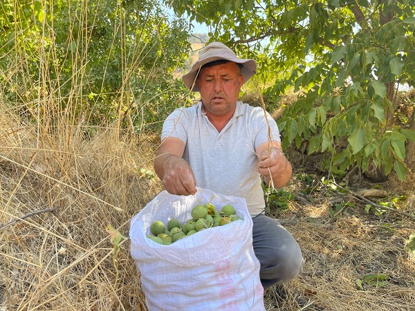 Foto - Bir zamanlar buralara yaklaşmak imkansızdı! Terörden temizlenen köyde 29 yıl sonra bir ilk yaşandı
