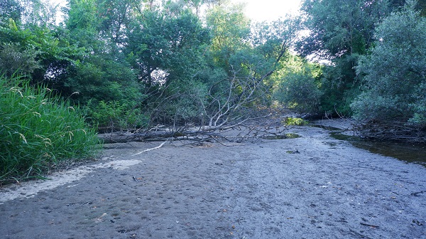 Bir zamanlar buralarda yüzüyorlardı! İşte, kuraklığın en net fotoğrafı