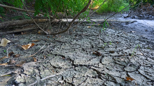 Foto - Bir zamanlar buralarda yüzüyorlardı! İşte, kuraklığın en net fotoğrafı