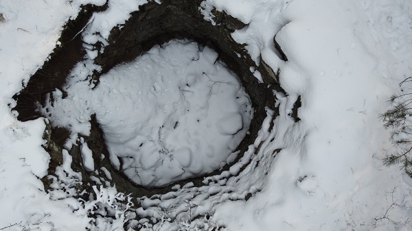 Foto - Bir zamanlar buzdolabıydılar! 
