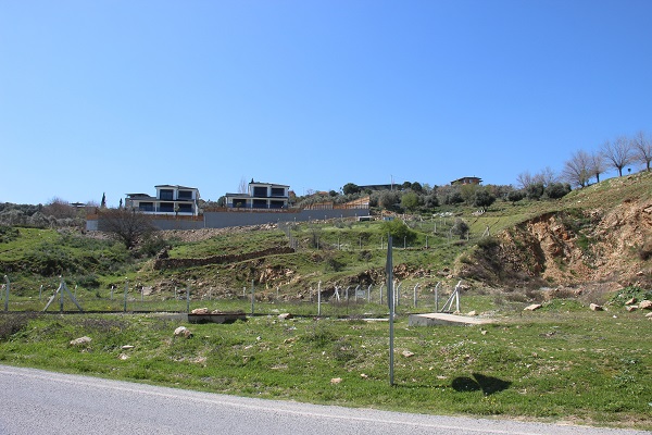 Foto - Bir zamanlar kimse bakmazdı! Fiyatları milyonlarla ifade ediliyor