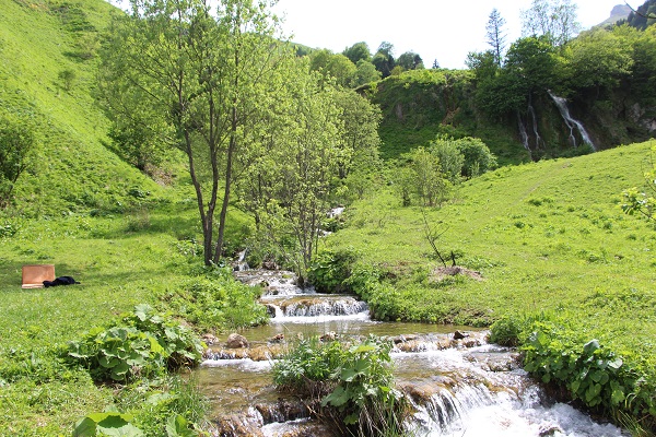 Foto - Bir zamanlar kimse bilmezdi! Şimdi turistlerin ilgi odağı oldu