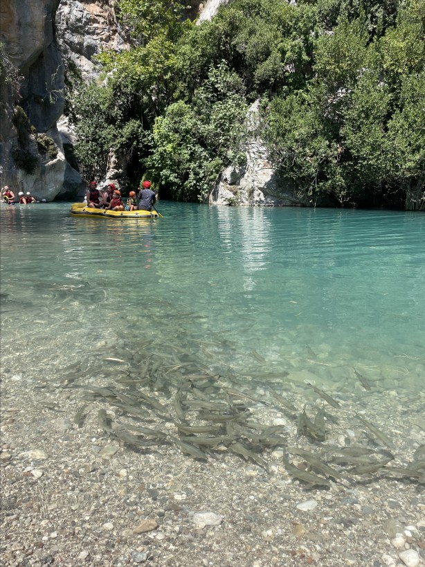Foto - Bırakın Avrupa'yı Mavrupa'yı hayat esas burada... Müthiş bir güzellik...