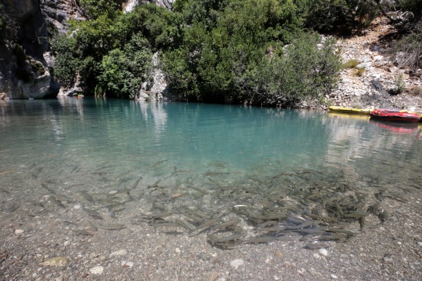 Foto - Bırakın Avrupa'yı Mavrupa'yı hayat esas burada... Müthiş bir güzellik...