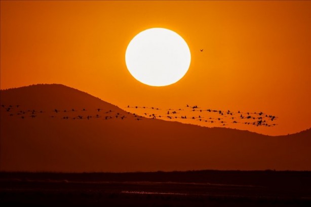 Foto - Birbirinden güzel haftanın karaleri
