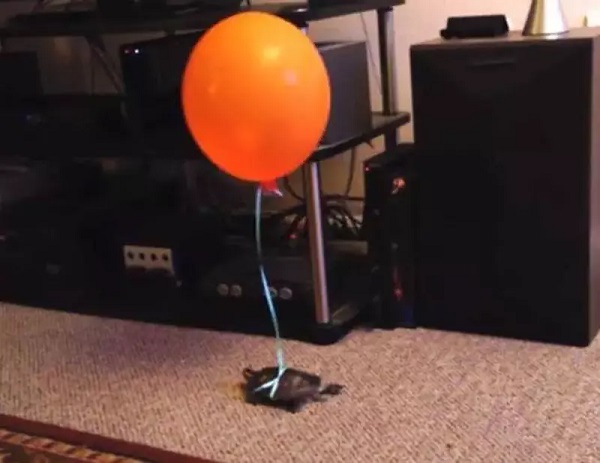 Foto - Birbirinden ilginç çözüm yolları! Bu fikirler hayatınızı kolaylaştırabilir