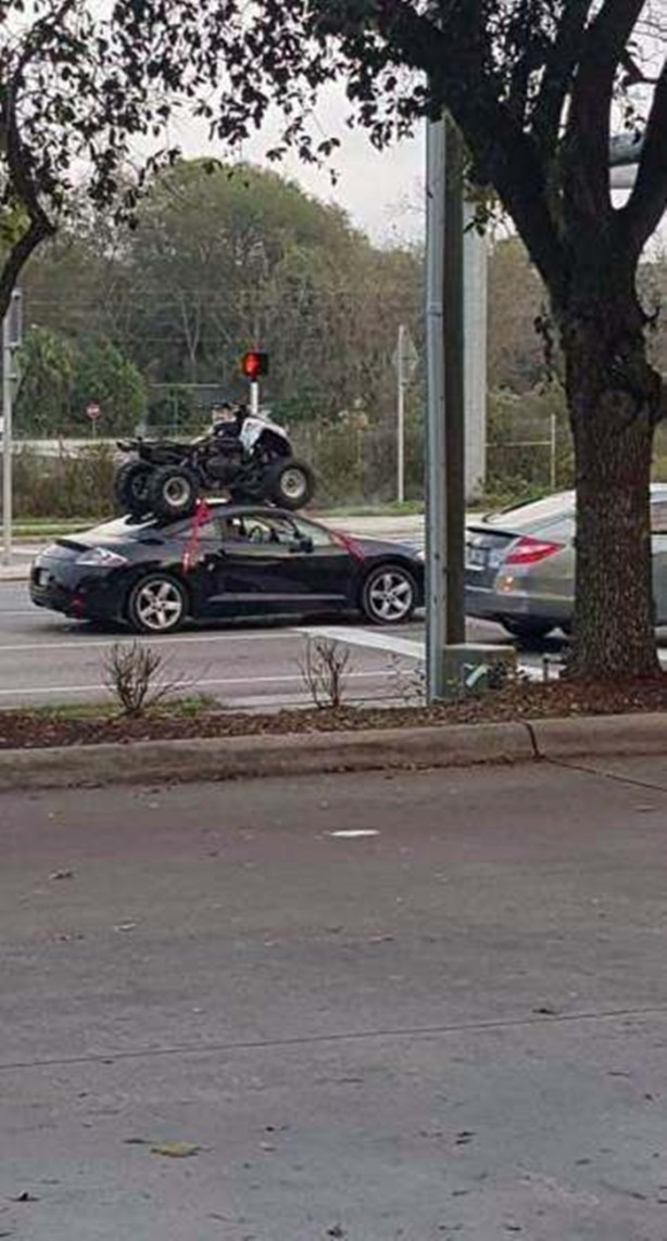 Foto - Birbirinden ilginç fotoğraflar