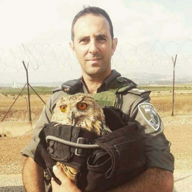 Foto - Birbirinden ilginç fotoğraflar