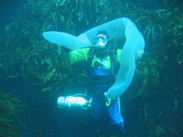 Foto - Birbirinden ilginç fotoğraflar