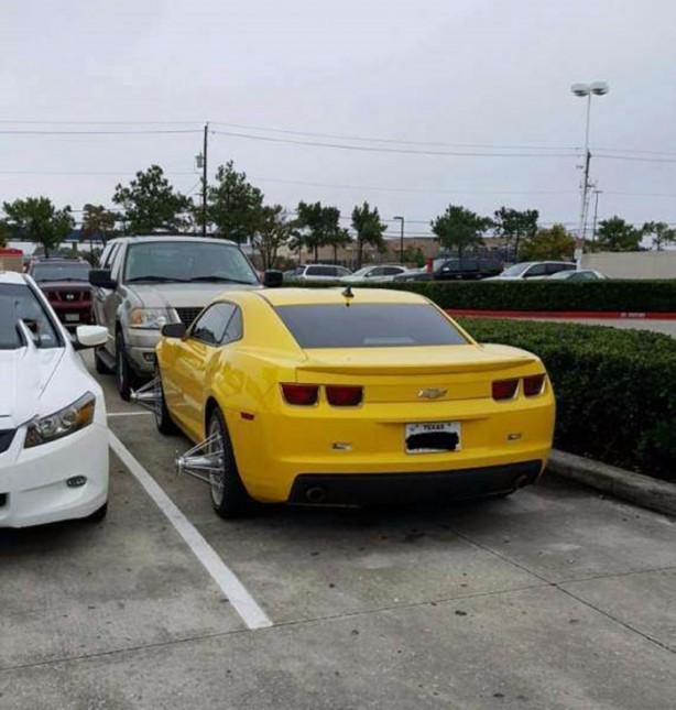 Foto - Birbirinden ilginç fotoğraflar