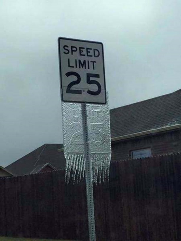 Foto - Birbirinden ilginç fotoğraflar