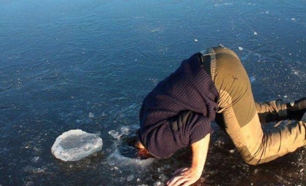 Foto - Birbirinden ilginç fotoğraflar