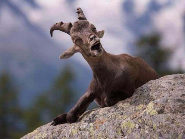 Foto - Birbirinden ilginç fotoğraflar