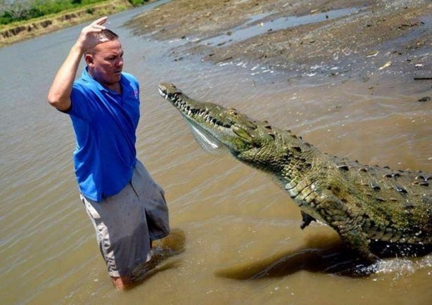 Foto - Birbirinden ilginç fotoğraflar