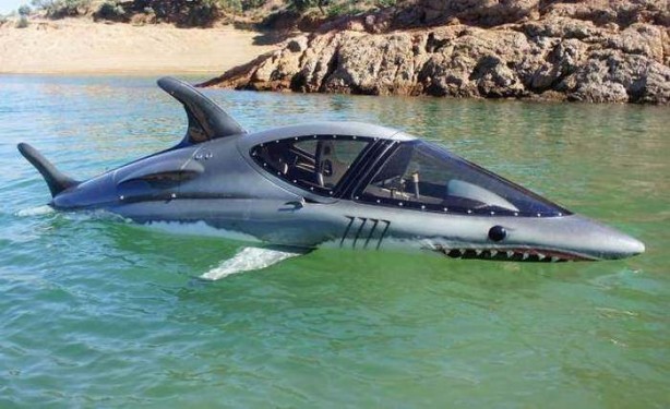 Foto - Birbirinden ilginç fotoğraflar