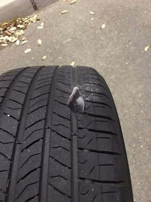 Foto - Birbirinden ilginç fotoğraflar