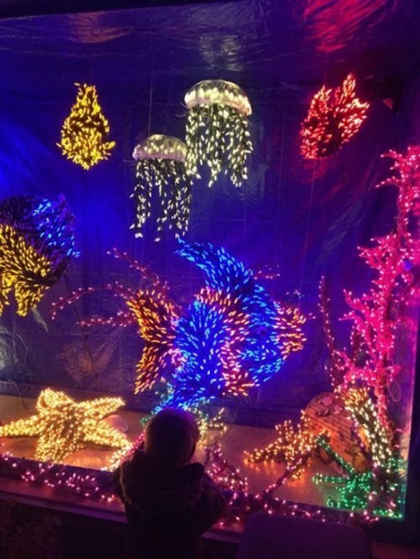 Foto - Birbirinden ilginç fotoğraflar