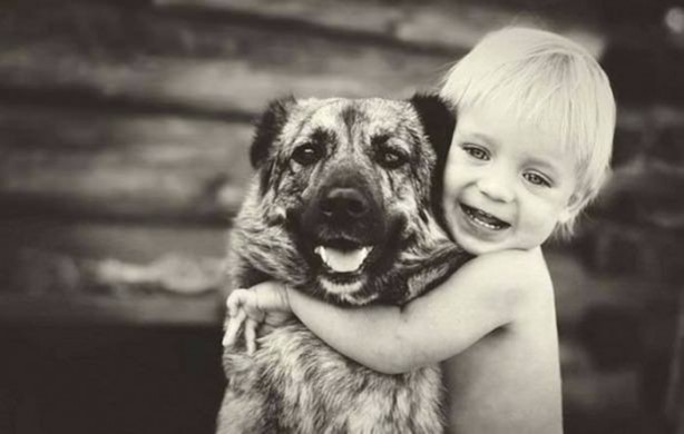 Foto - Birbirinden ilginç görüntüler