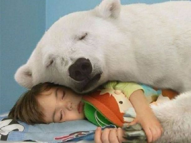 Foto - Birbirinden ilginç görüntüler