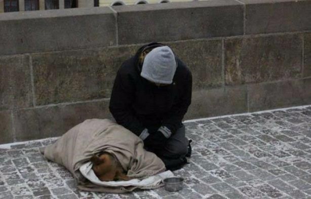 Foto - Birbirinden ilginç görüntüler