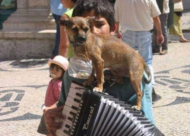 Foto - Birbirinden ilginç görüntüler