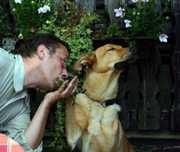 Foto - Birbirinden ilginç görüntüler