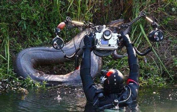 Foto - Birbirinden ilginç görüntüler