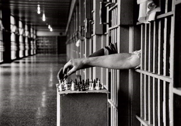 Foto - Birbirinden ilginç görüntüler