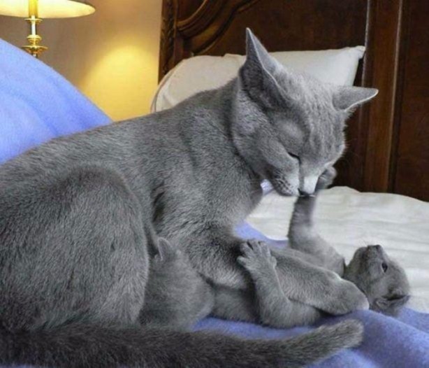 Foto - Birbirinden ilginç görüntüler