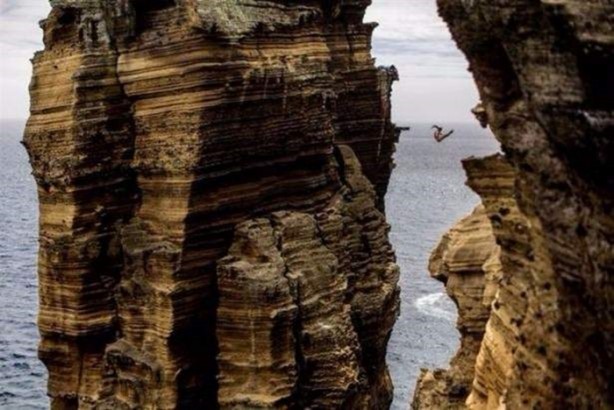 Foto - Birbirinden ilginç görüntüler