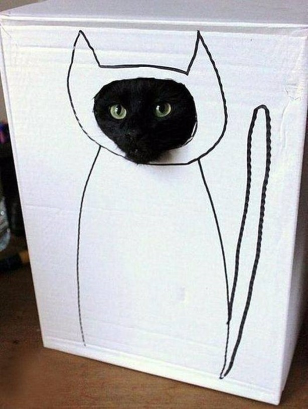 Foto - Birbirinden ilginç görüntüler